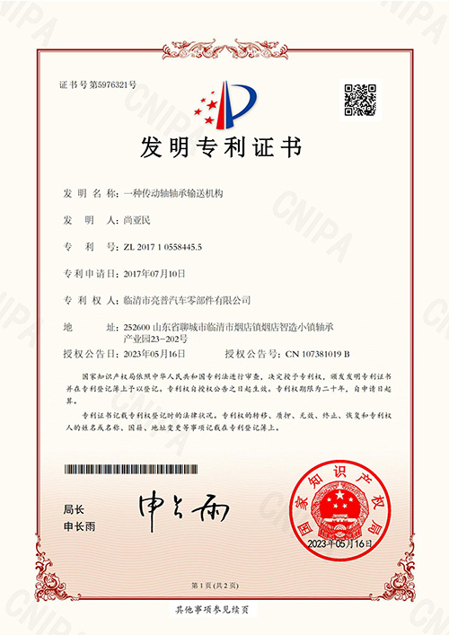 Patent for invention