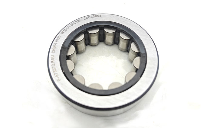 Motor bearings